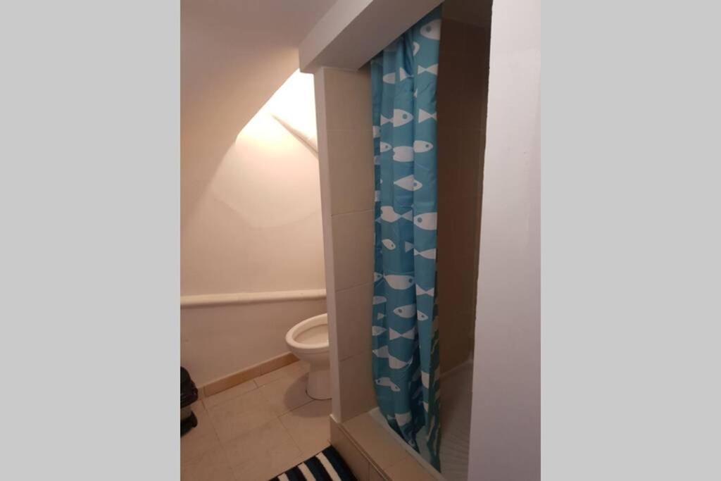 Appartement Renove , Quartier Historique Du Panier , Centre-Ville Marsilya Dış mekan fotoğraf